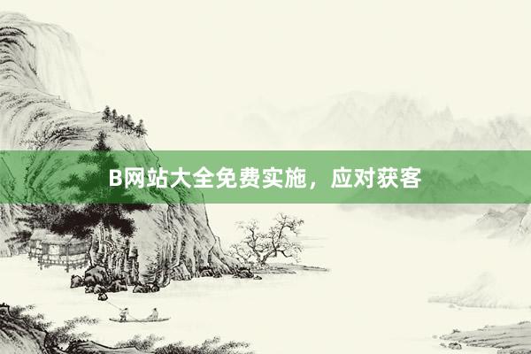 B网站大全免费实施，应对获客