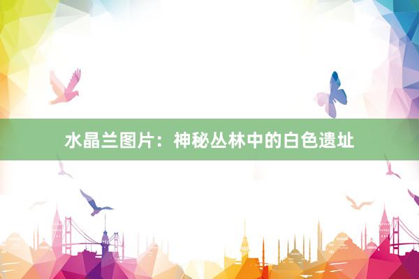 水晶兰图片：神秘丛林中的白色遗址